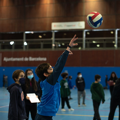 volei6
