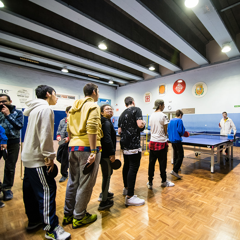 tennistaula5